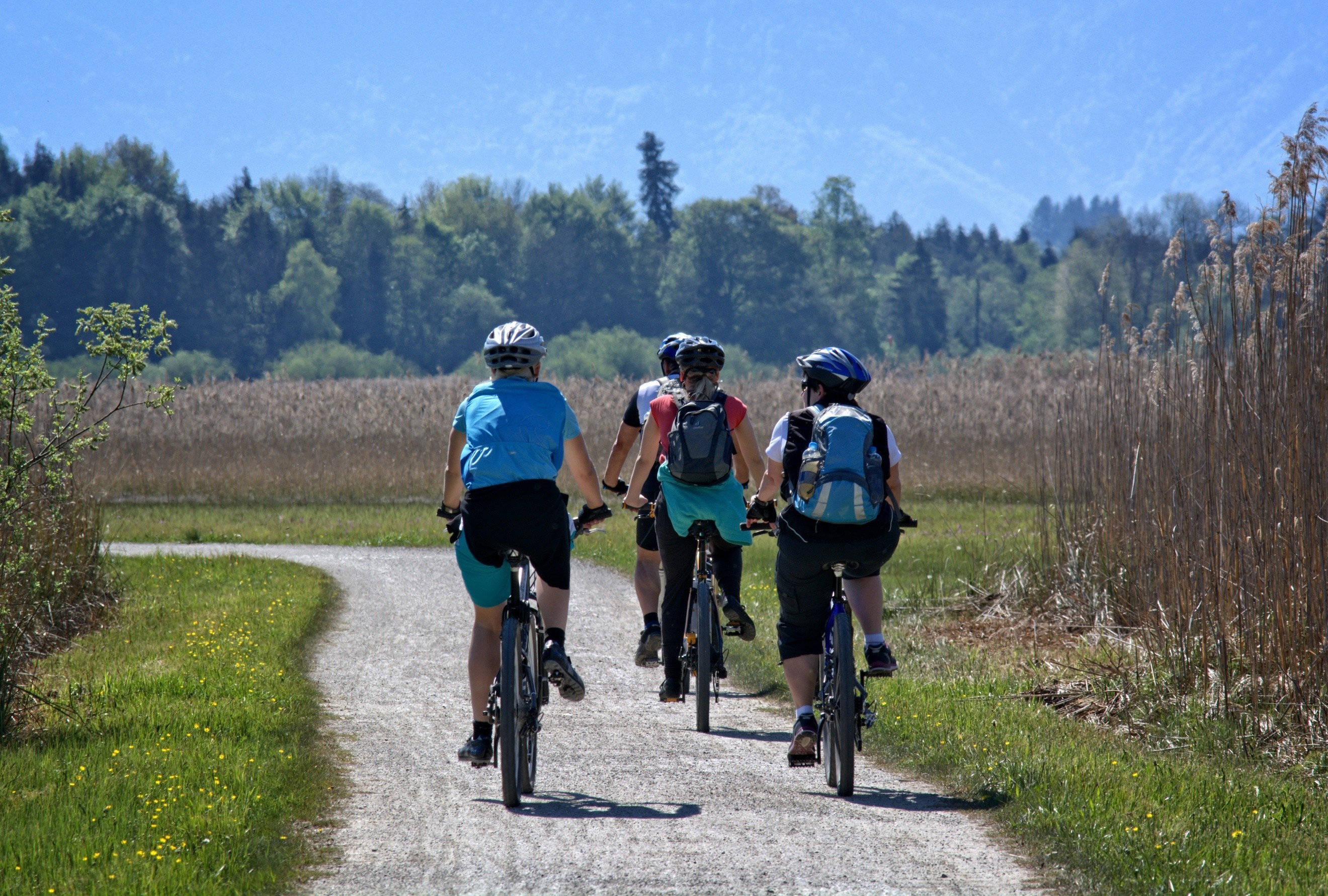 Pédaler dans le temps : voyage à vélo au pays du Saintois